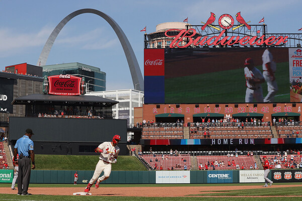 PETS FIRST ラーズ ヌートバー MLB メジャーリーグ オフィシャル ライセンス ペット用 フーディ Tシャツ セントルイスカージナルス Dog Cat Hoodie Tshirt メジャーリーグを知ろう！ヌートバー所属・カージナルスはこんな