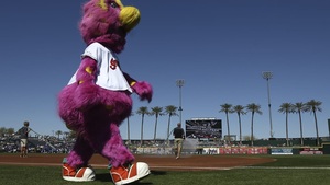 MLBマスコット大図鑑⑯】外野の壁から転落も一躍有名に ガーディアンズ